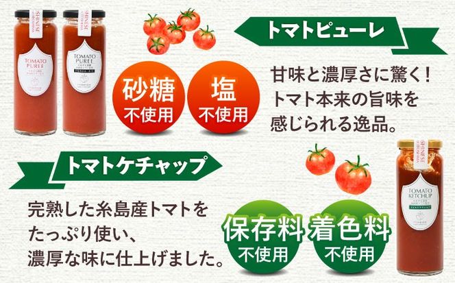 糸島のトマト農家が作る 無添加トマトピューレとケチャップ 3本セット 糸島市 / かわぞえ農園 ケチャップ トマトピューレ[AAM008]