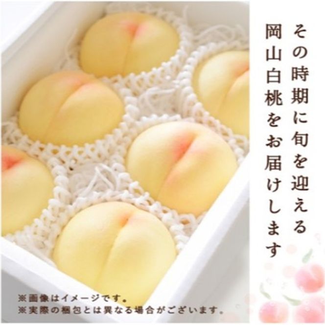 桃 2026年 先行予約 白桃 3玉(約750g)等級：ロイヤル 化粧箱入り もも モモ 岡山県産 国産 フルーツ 果物 セット ギフト