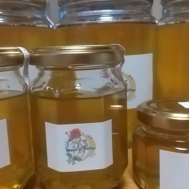 金山の生はちみつ/国産 非加熱 純粋 ハチミツ ハニー 瓶 小分け 加工品/marufarm/富山県射水市