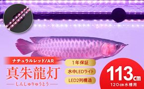 変化を体感!水を赤くせず、紅龍だけ美しく魅せる水中LEDライト|AR120-EX［172C19］紅龍 ナチュラルレッド 赤 水中 アロワナ 水槽ライト テンニングライト LED ライト 照明 水中照明 光 綺麗 強化ガラス 吸盤 1年保証 簡単 設置 でんらい インテリア 雑貨 愛知県 小牧市 送料無料