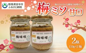 梅ミソ（甘口） ANBN002 