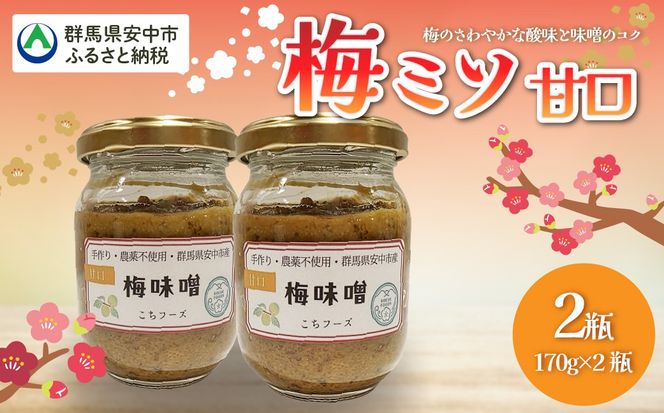 梅ミソ（甘口） ANBN002 