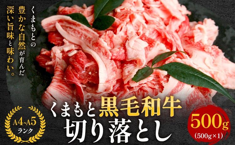 [A4〜A5]くまもと黒毛和牛 切り落とし 500g [30日以内に出荷予定(土日祝除く)] 牛肉 くまもと黒毛和牛 黒毛和牛 冷凍庫 切り落とし---sn_fespkiri_30d_r7_10500_500g---