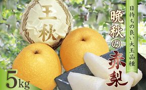 梨　王秋　約5kg（7～11玉入り）　国産 期間限定 デザート 甘い ジューシー ふるさと 納税 梨 なし ナシ 5kg  先行予約 ふるさと 納税 フルーツ くだもの 　TO00135