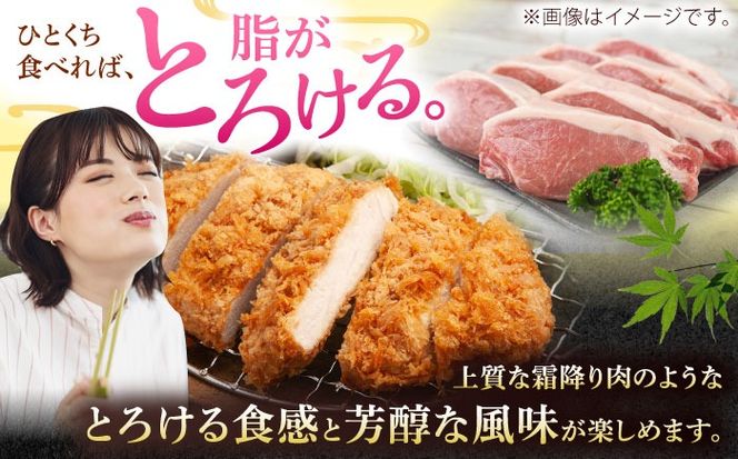 沖縄県産豚肉 厚切りロースステーキ 約1.2kg (200g×6P) 豚肉 ステーキ ステーキ肉 小分け 冷凍 国産 沖縄市 / 宮城ふぁーむ[BCAJ011]