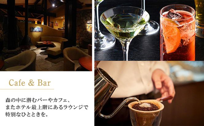新富良野プリンスホテル 宿泊券 ダブルルーム  (ホテル 宿泊 素泊まり チケット 旅行 体験 トラベル リゾート 北海道 富良野市 ふらの)