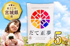 【CF03】米 宮城県産 だて正夢 5kg [気仙沼米穀商業協同組合 宮城県 気仙沼市 20565768] 一等米 ブランド米 白米 精米 ご飯 ごはん コメ こめ 小分け 家庭用