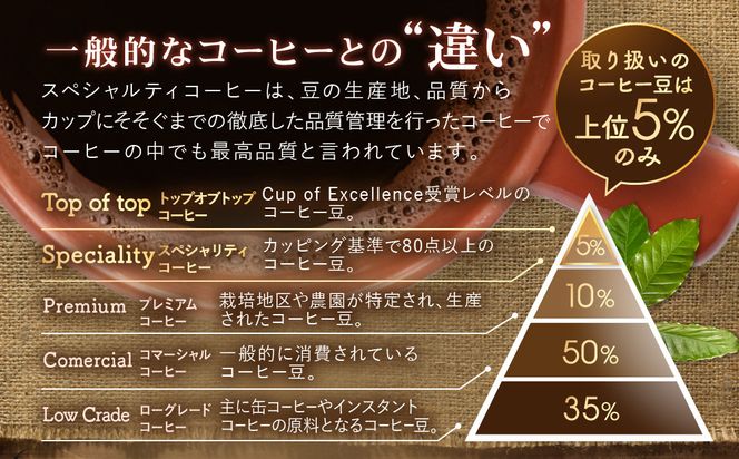 [豆]コーヒー豆 100g×6種類セット 合計600g 注文後焙煎 272183_BG426
