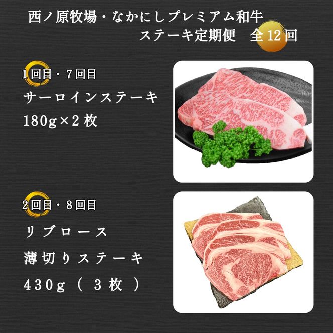 【定期便 全12回】宮崎県西ノ原牧場・なかにしプレミアム和牛ステーキ定期便（牛肉 黒毛和牛 ステーキ サーロイン モモ 定期便 A4 A5）