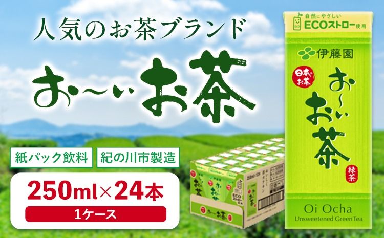 紀の川市産 紙パック飲料 おーいお茶 250ml×24本 1ケース 株式会社伊藤園 [30日以内に出荷予定(土日祝除く)] 和歌山県 紀の川市 お茶 おーいお茶 緑茶 日本茶 送料無料---wsk_ite3_30d_24_10000_24p---