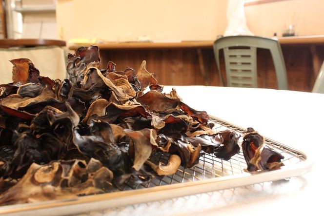 いりすのきのこ　乾燥きくらげ（20g×4パック） 322032_FL002