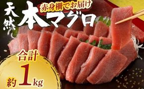 天然本まぐろ 赤身サク 合計約1kg 【日時指定可】 刺身 お刺し身 柵 マグロ 鮪 ちらし寿司 手巻き寿司 おかず 海鮮丼 マグロ丼 マグロ漬け丼 魚介類 真空パック 父の日 惣菜 訳あり 規格外 高豊丸 冷凍 tk183