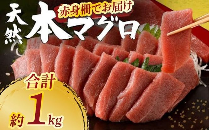 ymˎszVR{܂ ԐgTN v1kg ywz hg hg  }O  炵i 芪i  CN }O }OЂ  ^pbN ̓ y 󂠂 KiO L Ⓚ tk183