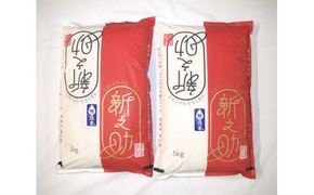 【令和7年産米】【無洗米】 新潟県村上市 岩船産 新之助10kg（5kg×2袋）1029014