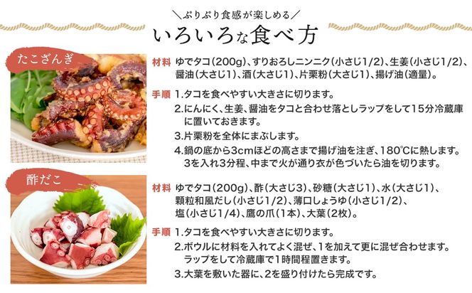 【定期便6ヶ月】ヤナギダコ500g【産地直送】プリプリ食感！釧路町昆布森産 ヤナギダコ｜噛むたびに広がる多幸の旨味 お刺身 鍋 煮物に最適 栄養満点 贈答用 にも最適 漁師直送 鮮度抜群 タコ 蛸 北海道 冷凍 釧路町 釧路超 特産品　121-1260-38