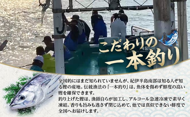 かつお一本釣り漁師が直送！ 日帰り生かつお 訳あり 500g入 304018_DT04