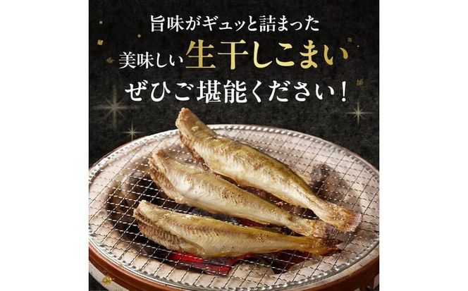《14営業日以内に発送》北海道産 生干しこまい 1kg×1箱 ( 干物 おつまみ コマイ 1キロ 海鮮 魚介 加工品 加工食品 干しこまい 魚 生干し 北海道 こまい )【035-0023】