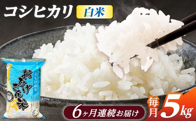 【6回定期便】コシヒカリ 白米 5kg×6か月 / 脇野コンバイン[AECP025]