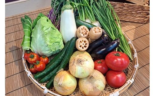 【旬のお野菜8品目】ウカマルシェ　セレクト野菜BOX　※離島への配送不可