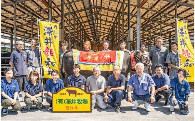 近江牛切り落とし250ｇ【 近江牛 ハラルビーフ 切り落とし 澤井姫和牛 】 272230_AS033