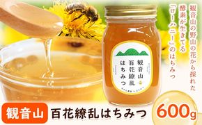 観音山百花繚乱はちみつ600g 有限会社柑香園 《30日以内に出荷予定(土日祝除く)》和歌山県 紀の川市 蜂蜜 ハチミツ ローハニー---wsk_kcehrhm_30d_22_14000_600g---