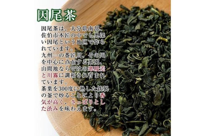 因尾茶 ティーバッグ (計66個・22個入×3袋) お茶 緑茶 茶 ティーバッグ 釜炒り 因尾茶 特産品 お取り寄せ 大分県 佐伯市【AH67】【(有)きらり】
