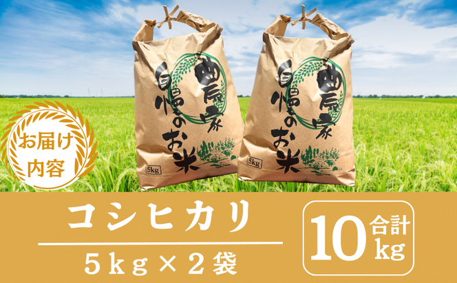 【先行予約】無洗米 令和8年産 コシヒカリ 10kg【 お米 米 コメ 精米 南丹市 】