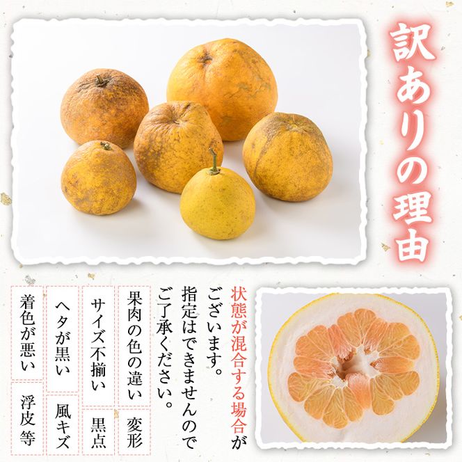 ＜先行予約受付中！2027年1月上旬以降順次発送予定＞訳あり！竹ん子山のボンタン(約5kg) 国産 鹿児島県産 阿久根産 柑橘 果物 フルーツ ぼんたん 文旦 訳アリ 果実 期間限定 数量限定 【竹ん子山】akn097-15