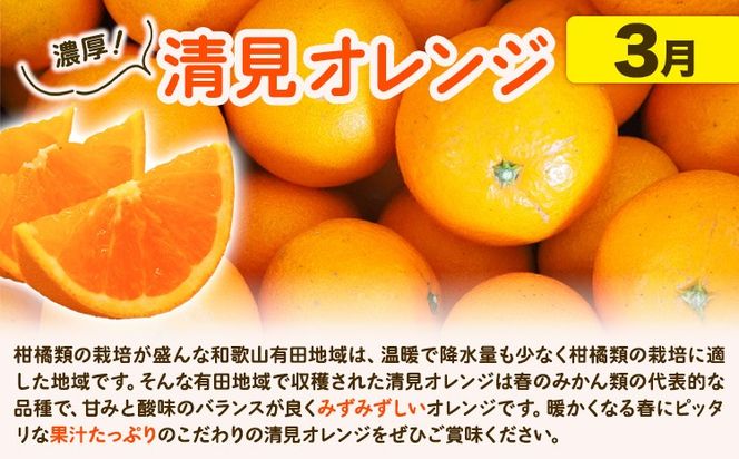 【発送月固定定期便】紀州 和歌山産 旬の ご家庭用 柑橘 セット (みかん 不知火 清見)【全３回】選べる 計16kg 計23.5kg 株式会社魚鶴《2027年1月上旬-4月上旬頃出荷》 和歌山県 日高川町 オレンジ 柑橘 蜜柑 果物 訳あり 送料無料 定期便---wshg_uotteik2_25_36000_mo3num1---