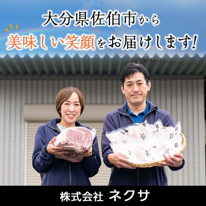 ＜定期便・全4回＞おおいた和牛 希少 赤身 焼肉 お楽しみ 定期便 (3ヶ月ごとにお届け) 国産 牛肉 肉 霜降り A4 ヒレ ランプ 大トロカルビ ミスジ 和牛 ブランド牛 冷凍 大分県 佐伯市【DH247】【(株)ネクサ】