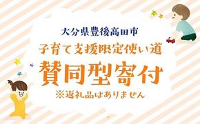 ふるさと納税で子育て支援！(返礼品なし・賛同型寄付）1,500円 【子育て支援限定使い道】大分県豊後高田市