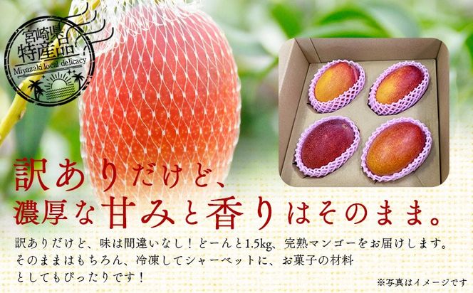 【ふるプレ限定品】＜訳あり 宮崎県産 完熟マンゴー 合計約1.5kg（3～5玉）＞入金確認後、2026年5月上旬から7月末迄に順次出荷【訳アリ ご家庭用 ご自宅 ご褒美 トロピカル 国産 果物 果実 フルーツ 南国 甘い 旬 濃厚（株）ワールドワイドトレード 宮崎県 国富町】【 b0983_ww】