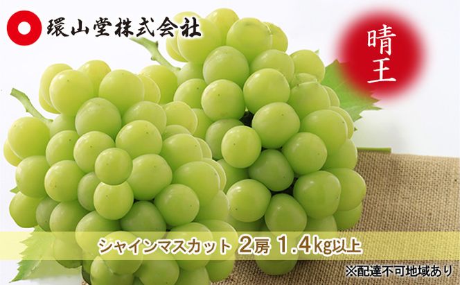 ぶどう 2026年 先行予約 シャイン マスカット 晴王 2房 合計1.4kg以上 マスカット ブドウ 葡萄  岡山県産 国産 フルーツ 果物 ギフト 環山堂 