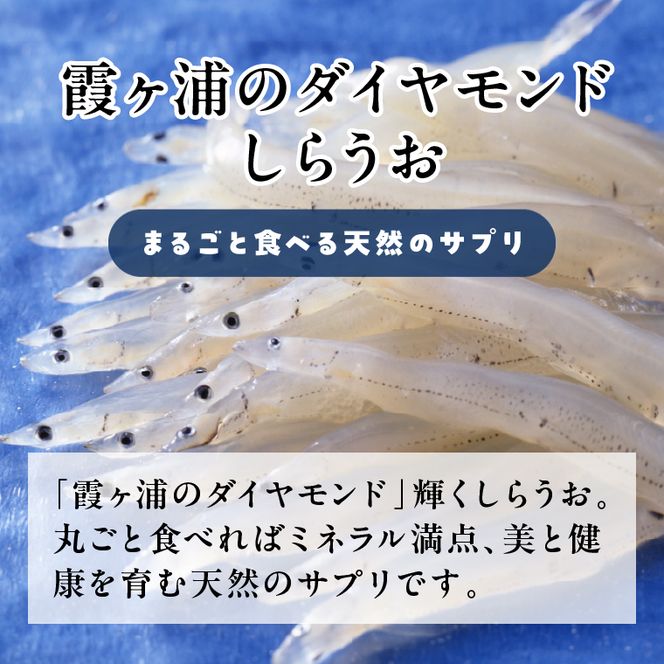 【2026年4月下旬より順次発送】カルシウム しらうおせんべい 3個｜せんべい 煎餅 おやつ しらうお カルシウム タンパク質 ミネラル 煮干し 茨城県 行方市(CU-342)