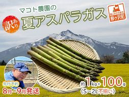 アスパラガス 先行予約 夏アスパラガス 約1kg+100g 約40本前後 S～2L 訳あり 不揃い マコト農園 規格外 アスパラ グリーンアスパラ 野菜 旬 旬の野菜 産地直送 2026年 2026 予約 冷蔵配送 8月～9月発送