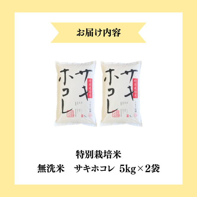 【令和7年産】栽培期間中 農薬・化学肥料不使用【無洗米】特別栽培米サキホコレ5kg×2