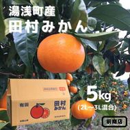 BL6015n_【2026年先行予約】【産地直送】和歌山 湯浅町産 田村みかん 5kg 2L～3Lサイズ混合