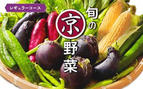 旬の京野菜　レギュラーコース≪京都 丹波 野菜 ふるさと納税野菜≫ ※沖縄・離島・諸島へのお届け不可