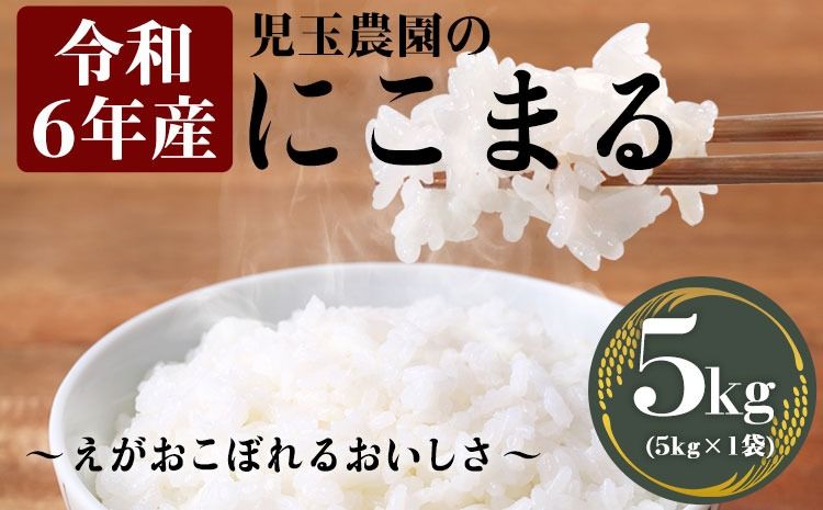 [令和6年産]新米『児玉農園』 にこまる5kg 5kg×1袋[30日以内に出荷予定(土日祝除く)]---sg_kodniko6_30d_24_12500_5kg---