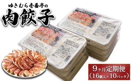 【9ヶ月定期便】ゆきむら壱番亭の肉餃子10パック(160個入り) ※離島への配送不可