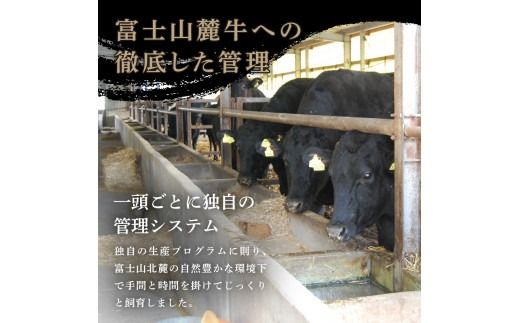 富士山麓牛　ロースステーキ＆霜降りカルビセット ステーキ 国産 富士山麓牛 霜降り 精肉 冷凍 送料無料 山梨 富士吉田