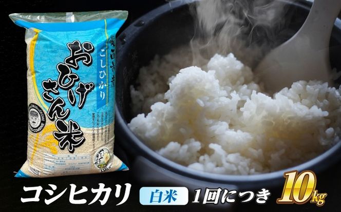 【6回定期便】コシヒカリ 白米 10kg×6か月 / 脇野コンバイン[AECP028]