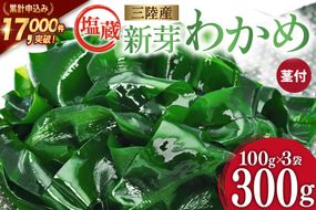 【漁師さんからのおすそわけ】新芽わかめ 300g(約100g×3袋) [かわむら家 宮城県 気仙沼市 20564375] わかめ ワカメ 若芽 海藻 国産 三陸 味噌汁 小分け 三陸わかめ