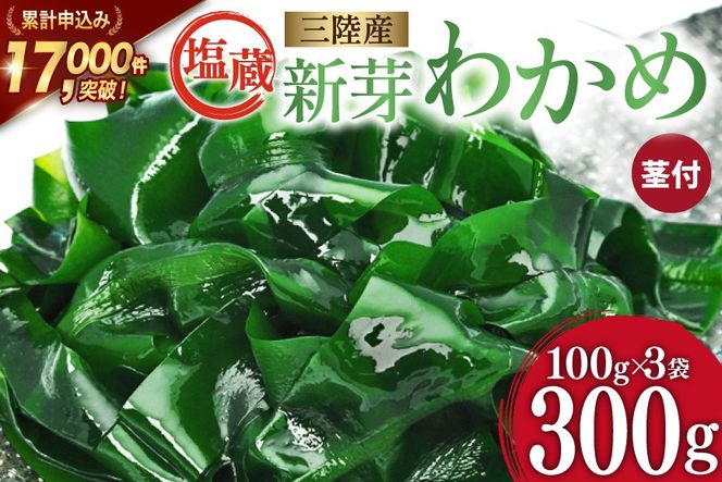 【漁師さんからのおすそわけ】新芽わかめ 300g(約100g×3袋) [かわむら家 宮城県 気仙沼市 20564375] わかめ ワカメ 若芽 海藻 国産 三陸 味噌汁 小分け 三陸わかめ