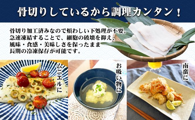 【 小豆島 】テレビで紹介されました！『小豆島島鱧』活け締め骨切り瞬間冷凍 新鮮 海の幸 ハモ