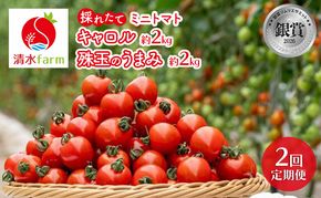 【2027年発送】●2回定期便● 富良野産 採れたて直送! 「ミニトマト キャロル10・珠玉のうまみ 」各2kg (清水farm) アスパラ アスパラガス トマト ミニトマト とまと 野菜 新鮮 季節限定 北海道 富良野 ふらの