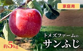 サンふじ（家庭用） 約5kg（15～20玉入り）トメズファーム　りんご　長野　信州　小諸　果物　フルーツ