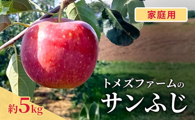 サンふじ（家庭用） 約5kg（15～20玉入り）トメズファーム　りんご　長野　信州　小諸　果物　フルーツ