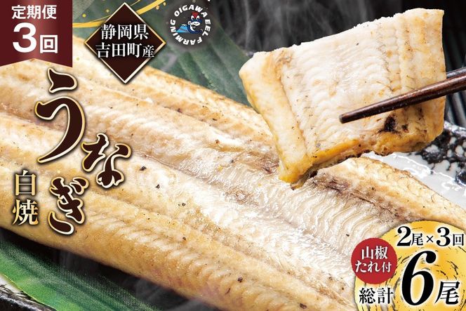 うなぎ 国産 定期便 白焼 150g以上 2尾 3回 総計6尾 タレ 山椒 付き [大井川うなぎ 静岡県 吉田町 22424565] 鰻 ウナギ unagi 白焼き 鰻白焼き 真空パック 冷凍 静岡県産
