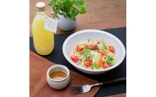 まるごとぶんたん 土佐文旦シロップ 1本 360ml 希釈用 ぶんたん ブンタン 柑橘類 蜜柑 フルーツ 果物 くだもの 水割り 炭酸水割り アルコール割り ジュース【土佐文旦産直協同組合】 [BQAH008]
